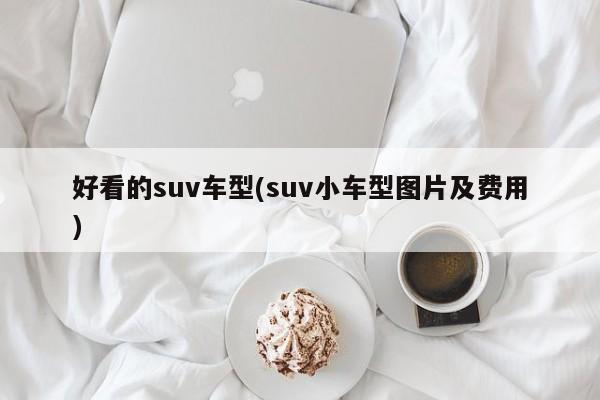 好看的suv车型(suv小车型图片及费用)