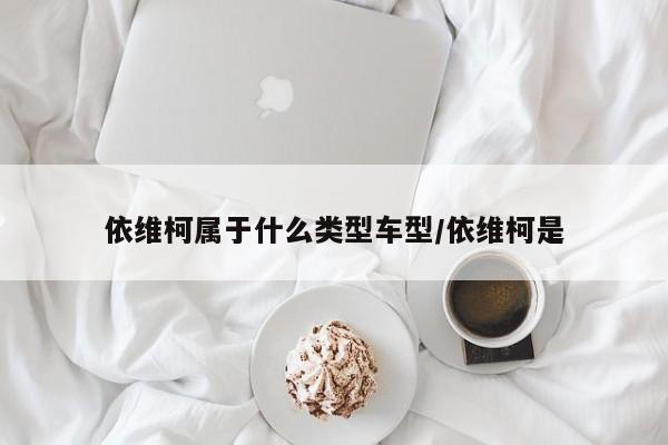 依维柯属于什么类型车型/依维柯是