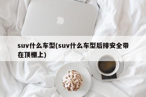 suv什么车型(suv什么车型后排安全带在顶棚上)